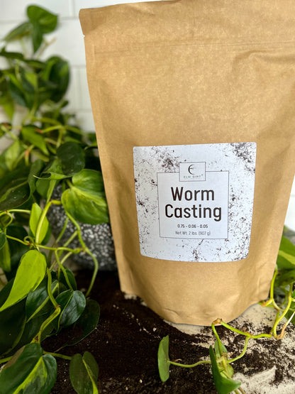 Worm Casting by Elm Dirt