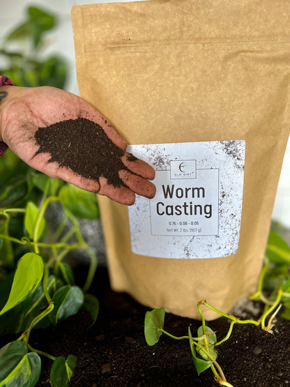 Worm Casting by Elm Dirt