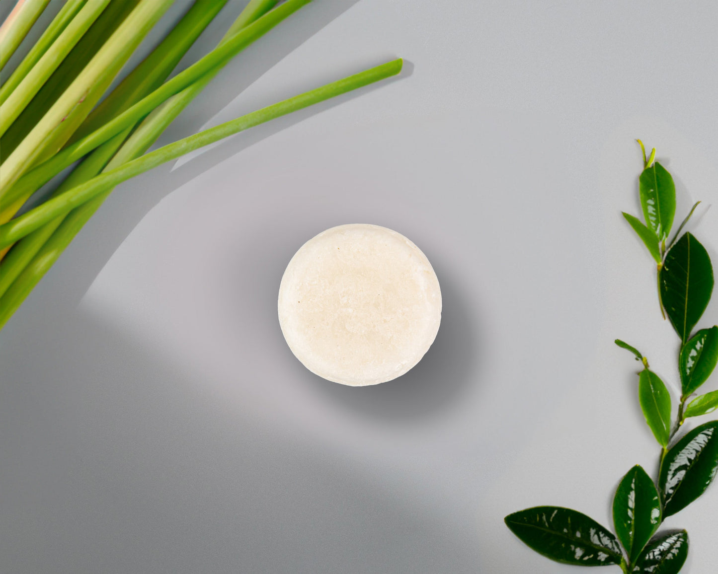 Sulfate-Free Shampoo Bar