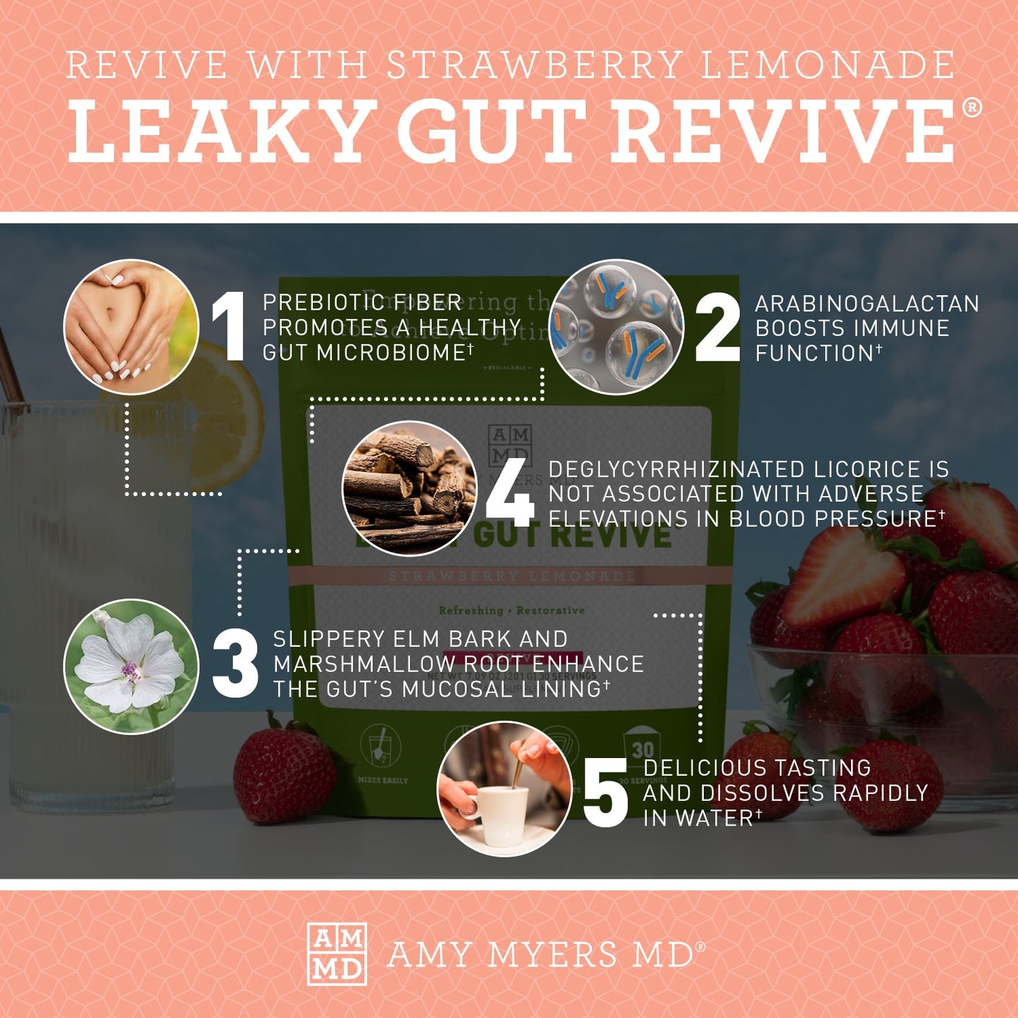 Leaky Gut Revive - Strawberry Lemonade by Amy Myers MD