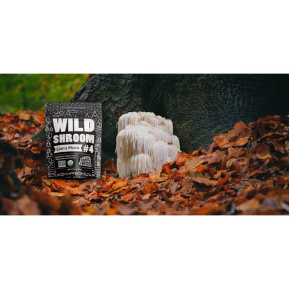 Wild Lion's Mane Mushroom Extract by Wild Foods