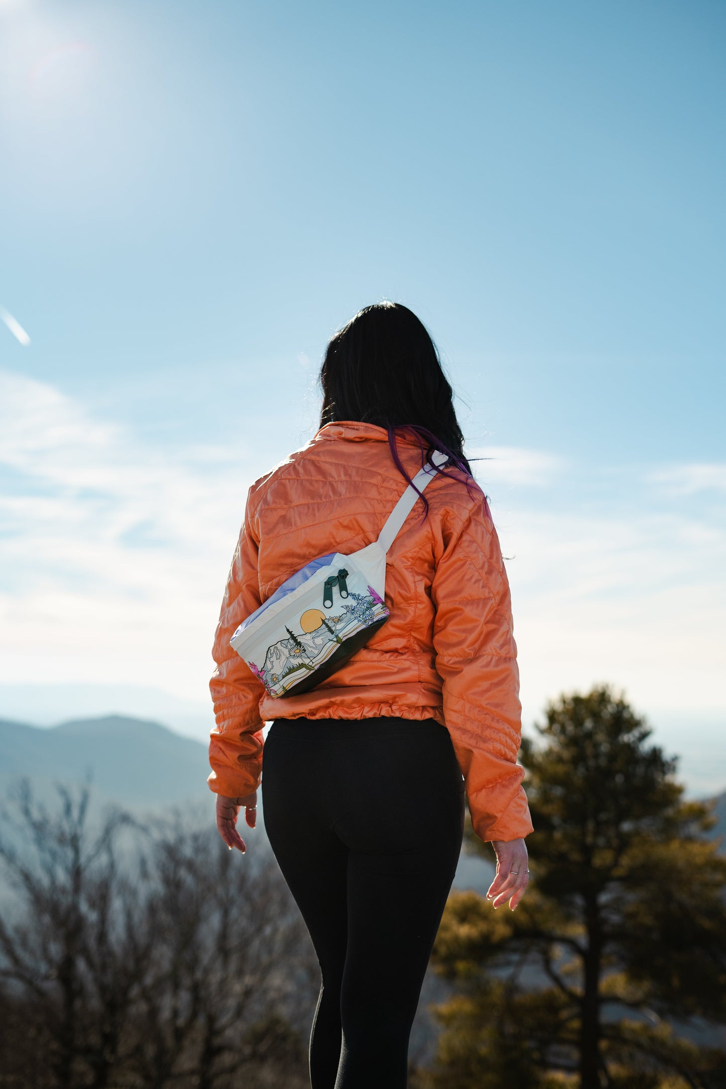 Mount Rainier National Park Hip Pack