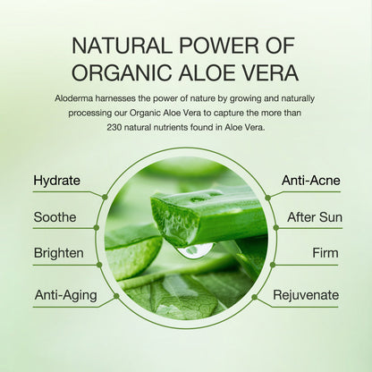 Aloe Hydrating Moisturizer