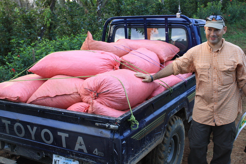 Nicaragua - Finca San Jose de las Nubes - Washed Process