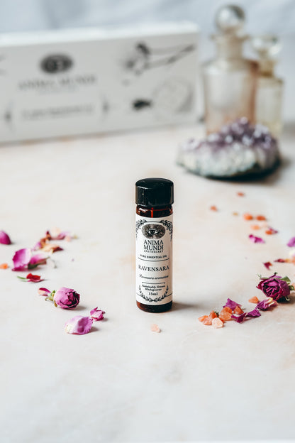 RAVENSARA Essential Oil | Sustainably Cultivated