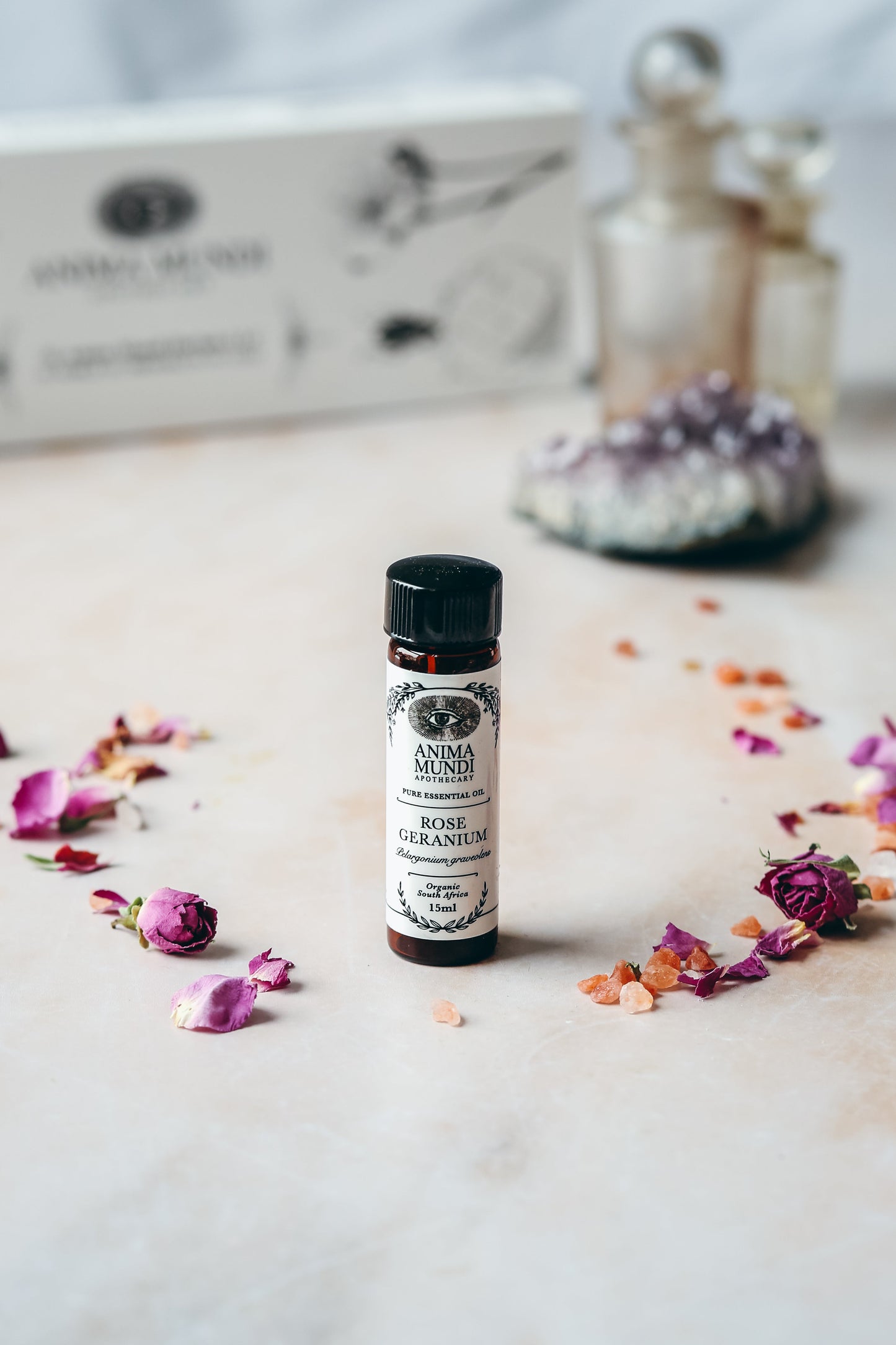 ROSE GERANIUM Essential Oil | Organic