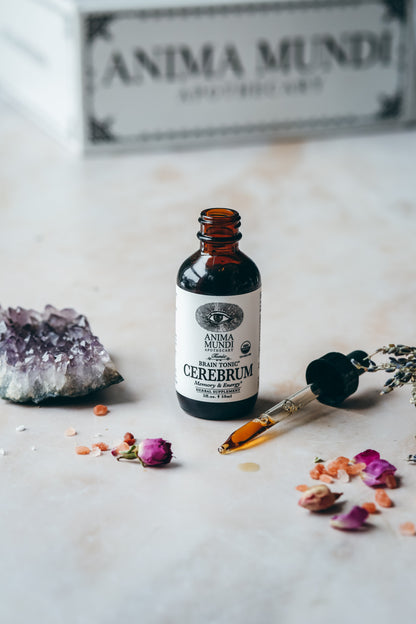 CEREBRUM Tonic | Memory + Energy