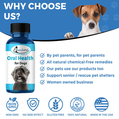 Dog Bad Breath & Dental Care Solution - Natural Remedy for Canine Oral Health by BestLife4Pets