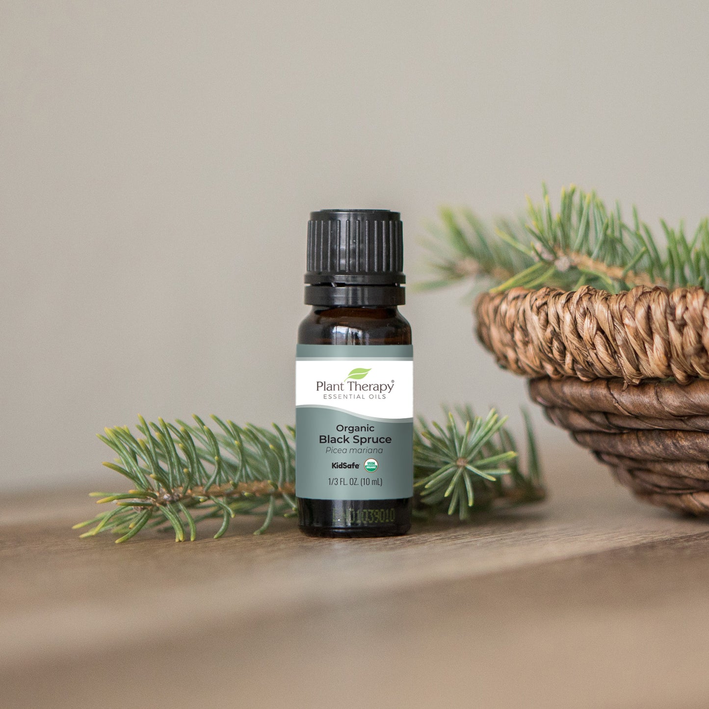 Organic Black Spruce Essential Oil