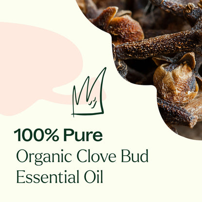 Organic Clove Bud Essential Oil