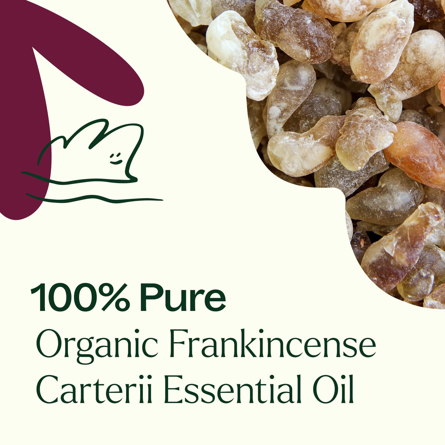 Organic Frankincense Carterii Essential Oil