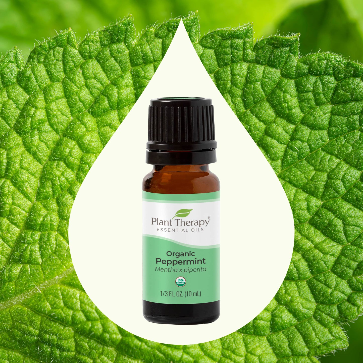 Organic Peppermint Essential Oil