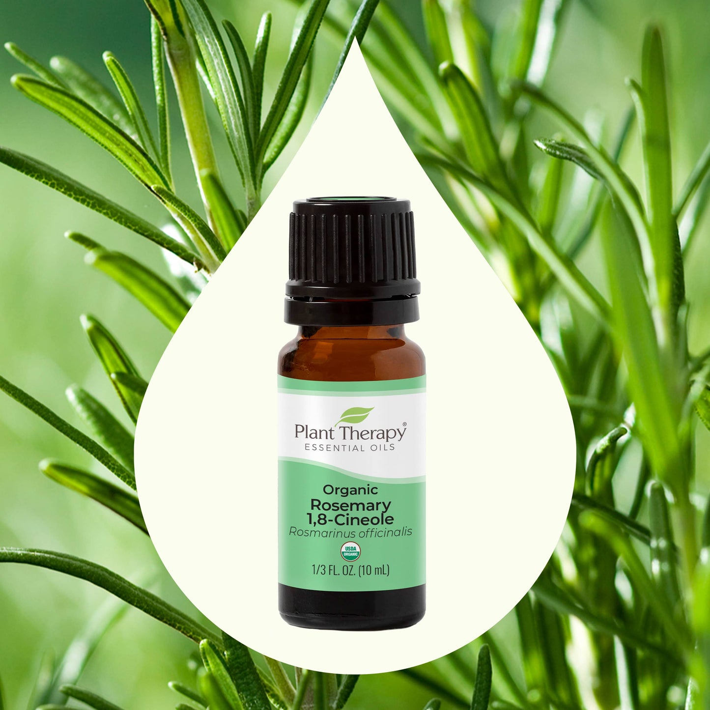 Organic Rosemary 1,8-Cineole Essential Oil