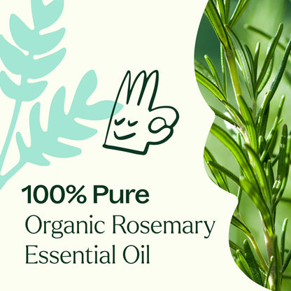 Organic Rosemary 1,8-Cineole Essential Oil