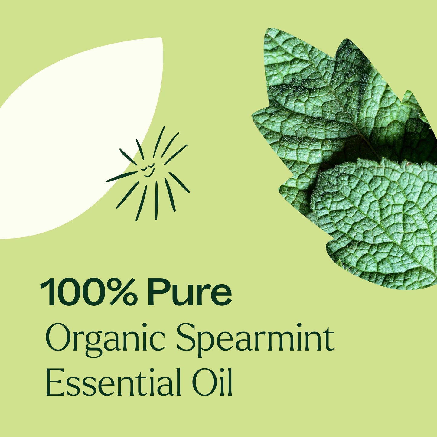 Organic Spearmint Essential Oil