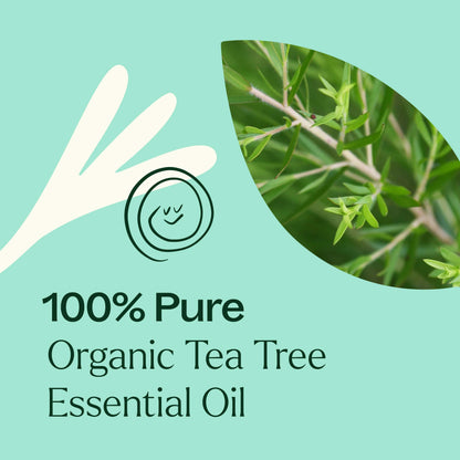 Organic Tea Tree Essential Oil