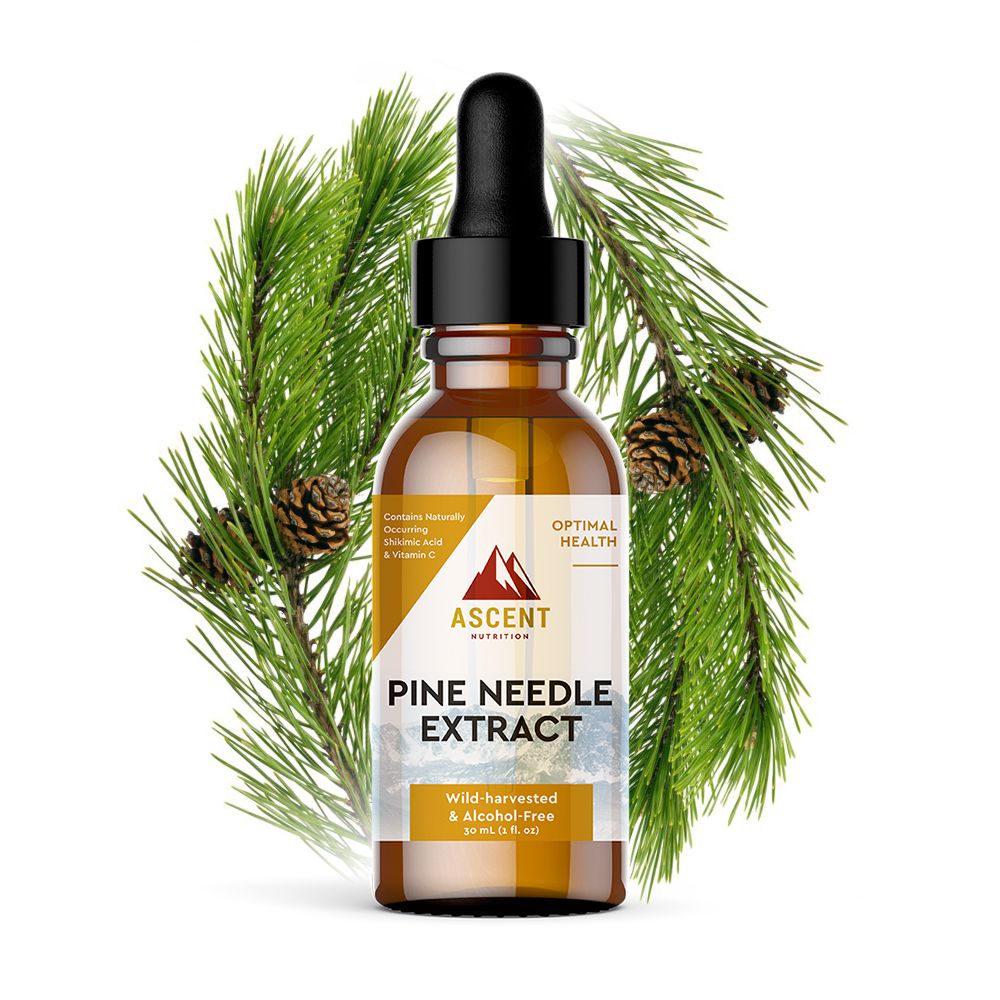 Pine Needle Extract by Ascent Nutrition