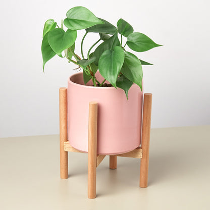 Cylinder Planter with Wood Stand - 5" Pot