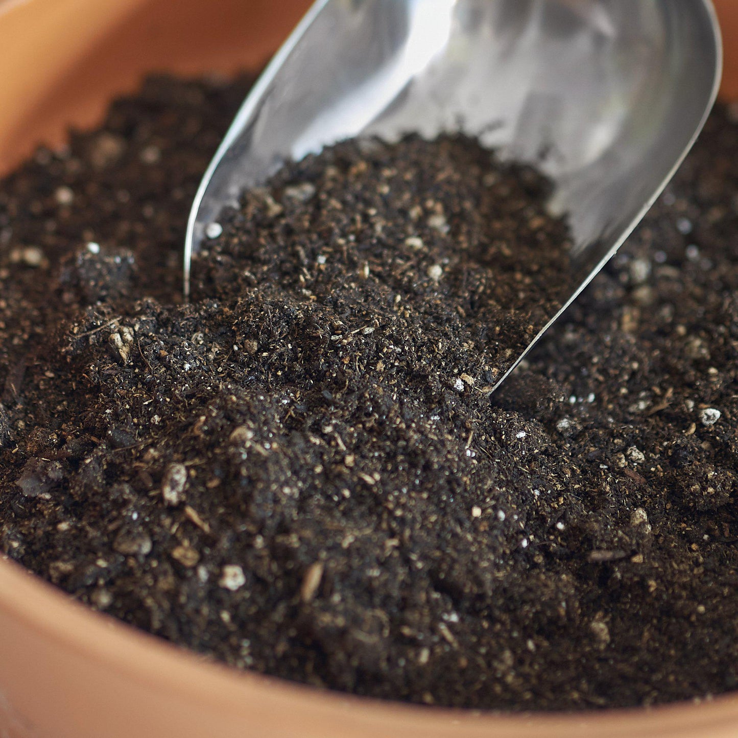 Indoor Plant Potting Soil - 1 lb Bag