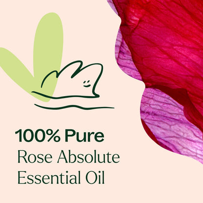 Rose Absolute Essential Oil