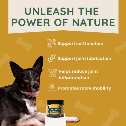 Advanced Mobility - Hip & Joint by Rusty's Pet Essentials