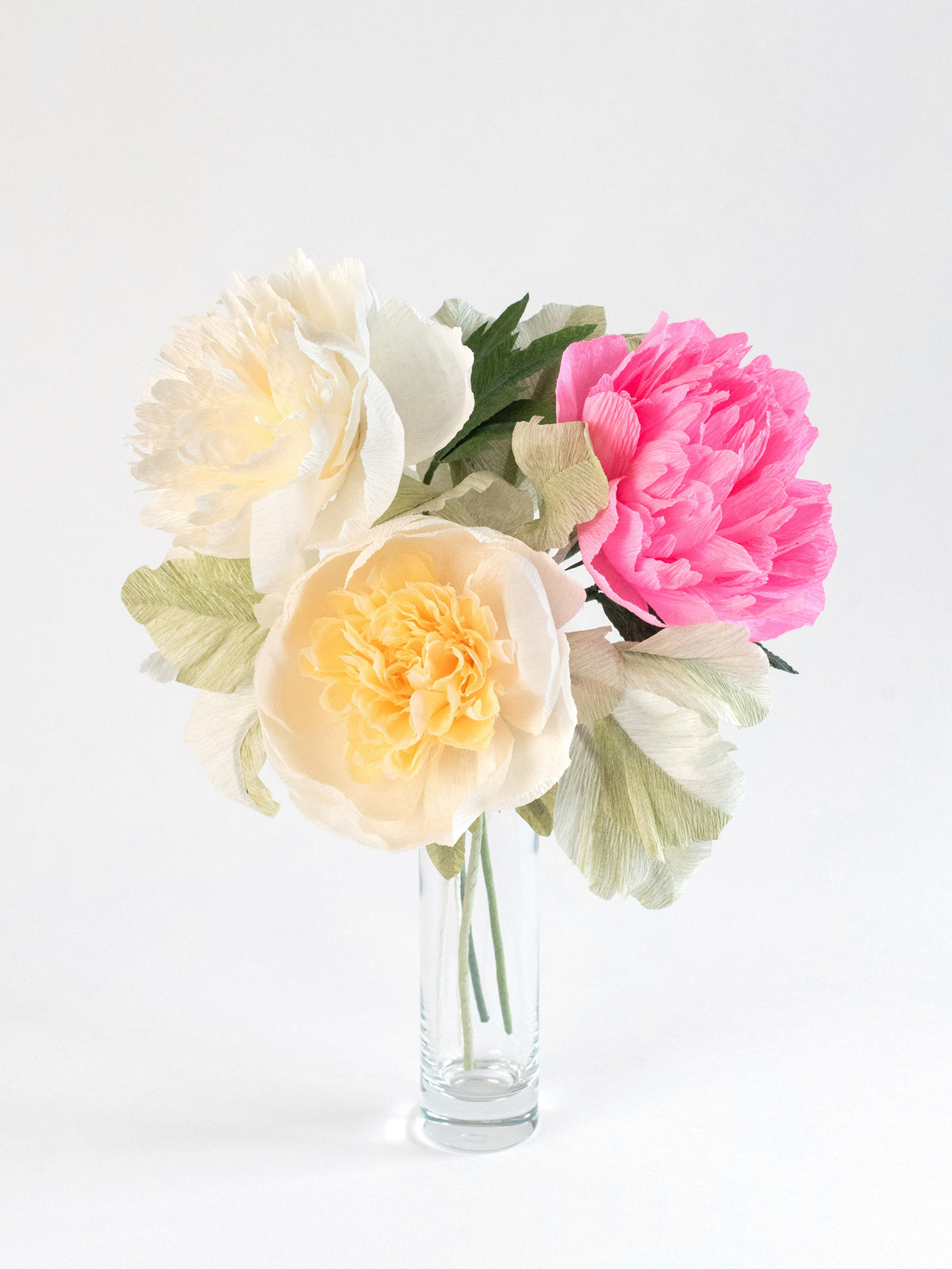 Peony for Your Thoughts