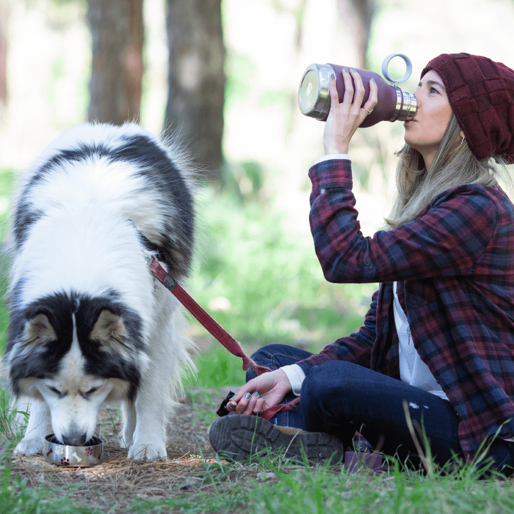 Burgundy Dog Bowl Bottle by ASOBU®