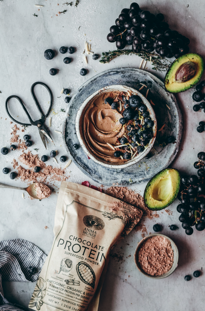 CHOCOLATE PROTEIN | Superfood Powder