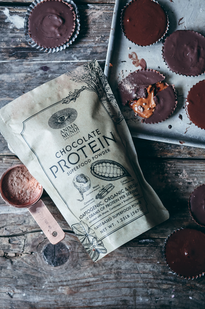 CHOCOLATE PROTEIN | Superfood Powder