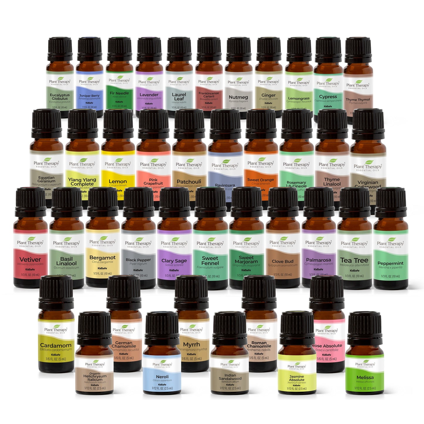 Aromatherapy Student Starter Kit