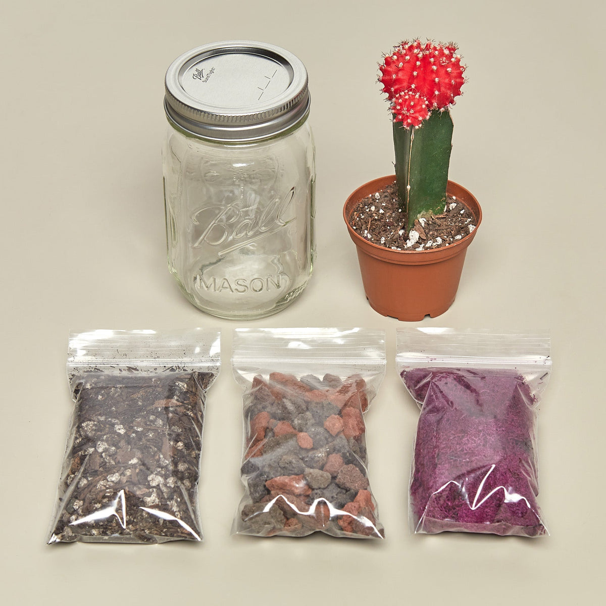 Mason Jar Terrarium Kit