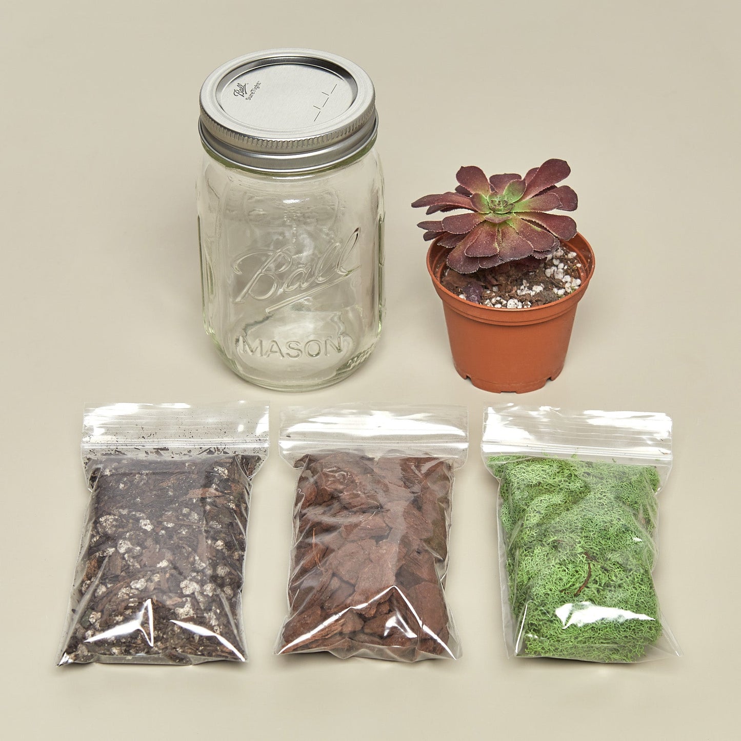 Mason Jar Terrarium Kit