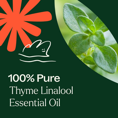 Thyme Linalool Essential Oil