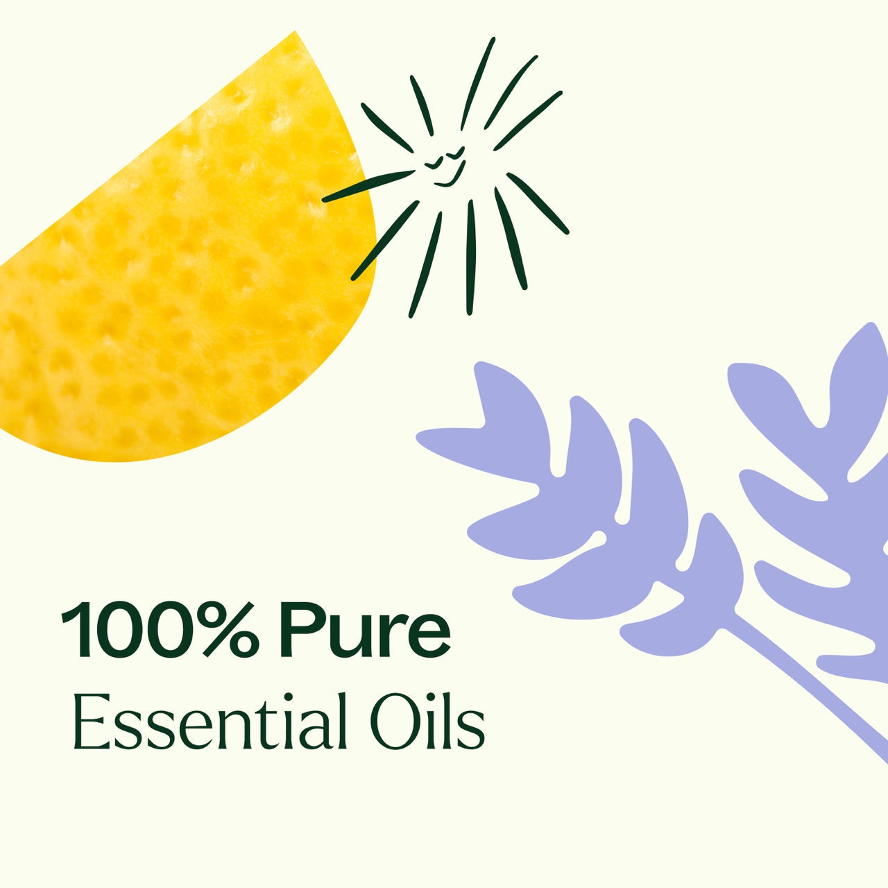 Top 6 Organic Singles Essential Oil Set