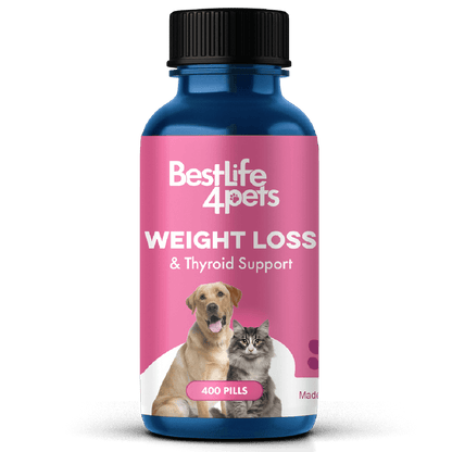 Natural Weight Loss & Thyroid Support Supplement for Dogs & Cats by BestLife4Pets