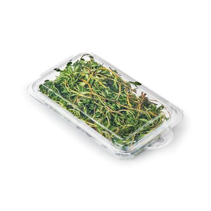 0.5 oz. Top Seal Hanging Fresh Herb & Microgreen Package (0321)