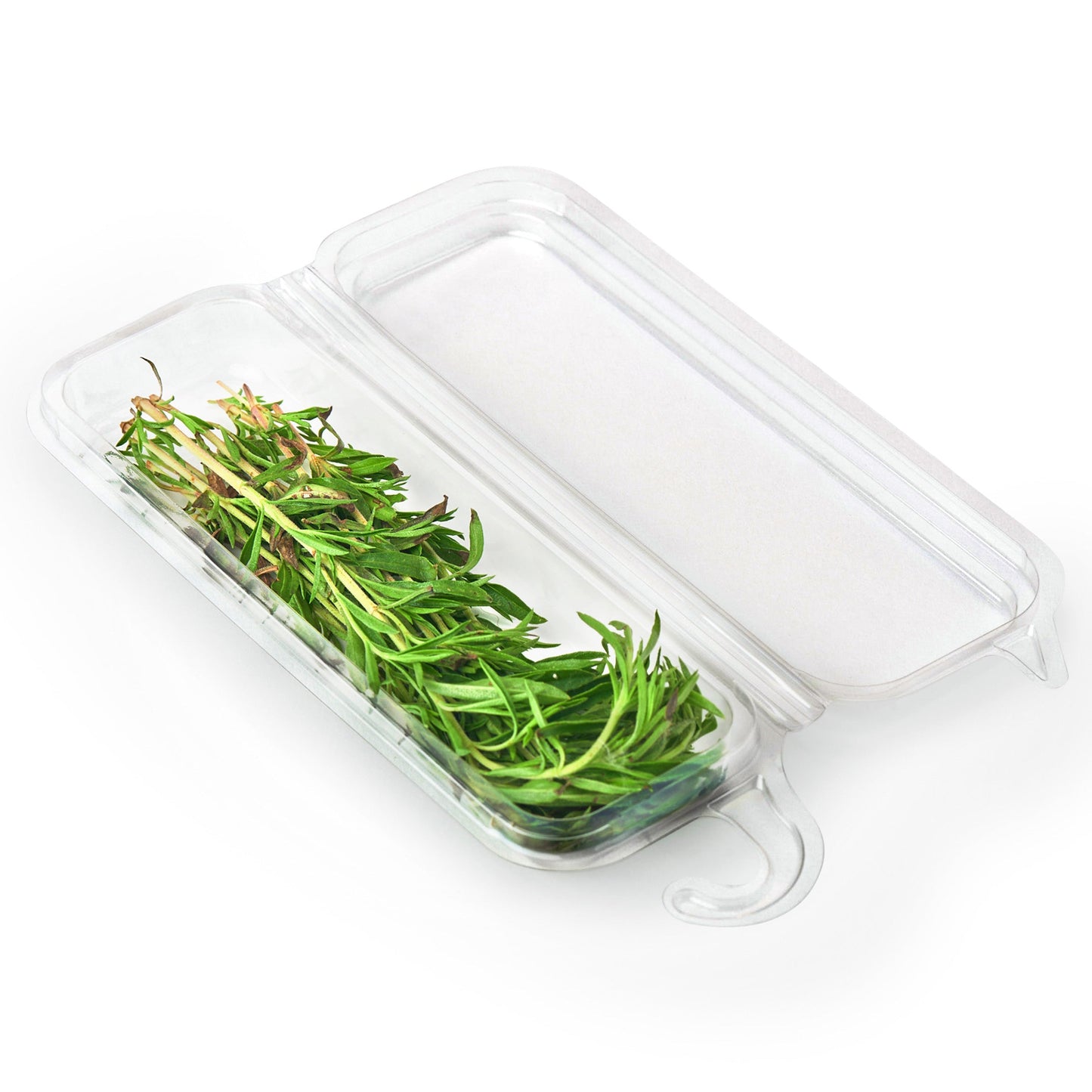 0.25 oz. Hanging Fresh Herb & Microgreen Package (0325)