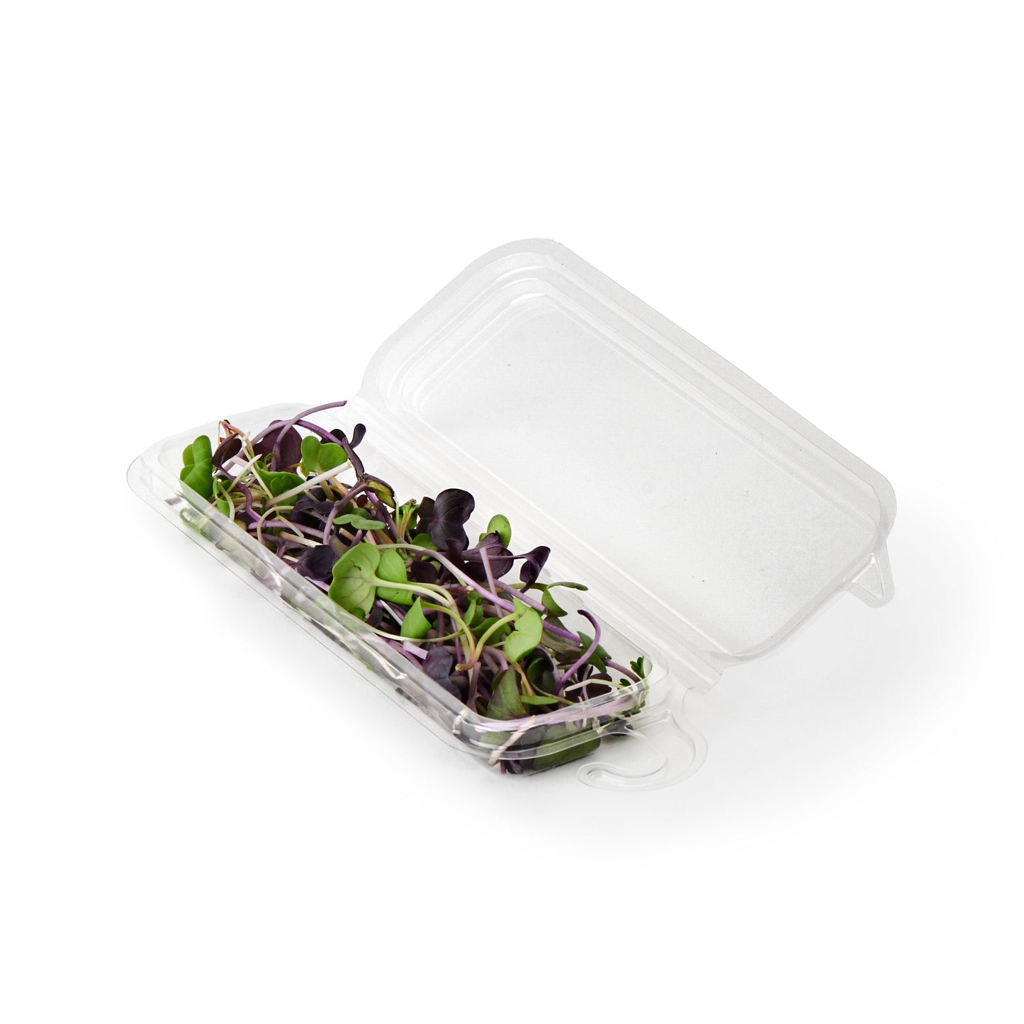 0.25 oz. Hanging Fresh Herb & Microgreen Package (0325)