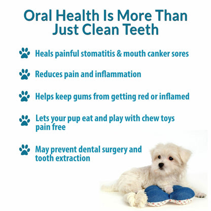 Dog Bad Breath & Dental Care Solution - Natural Remedy for Canine Oral Health by BestLife4Pets