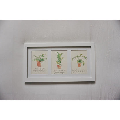 Small Plant Posters - 3 Pack