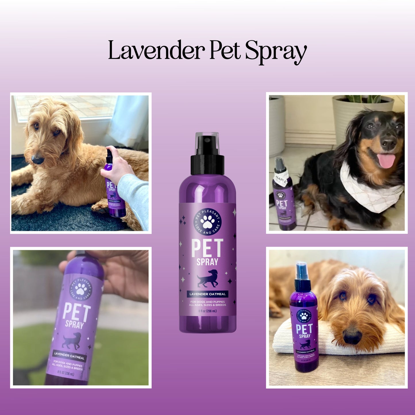 Nourishing Lavender Pet Spray