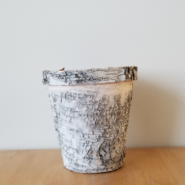 Birch Pot