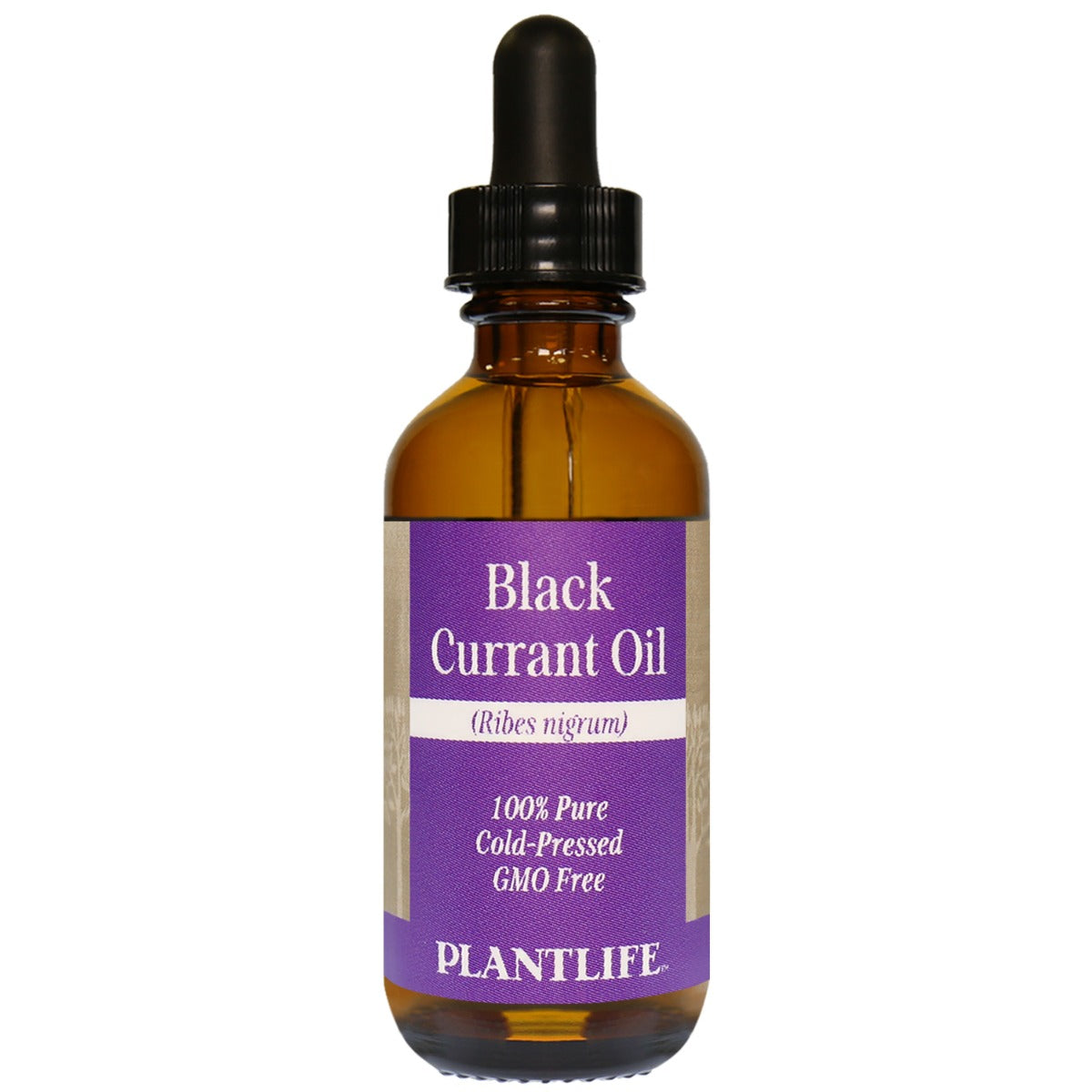 Black Currant Oil