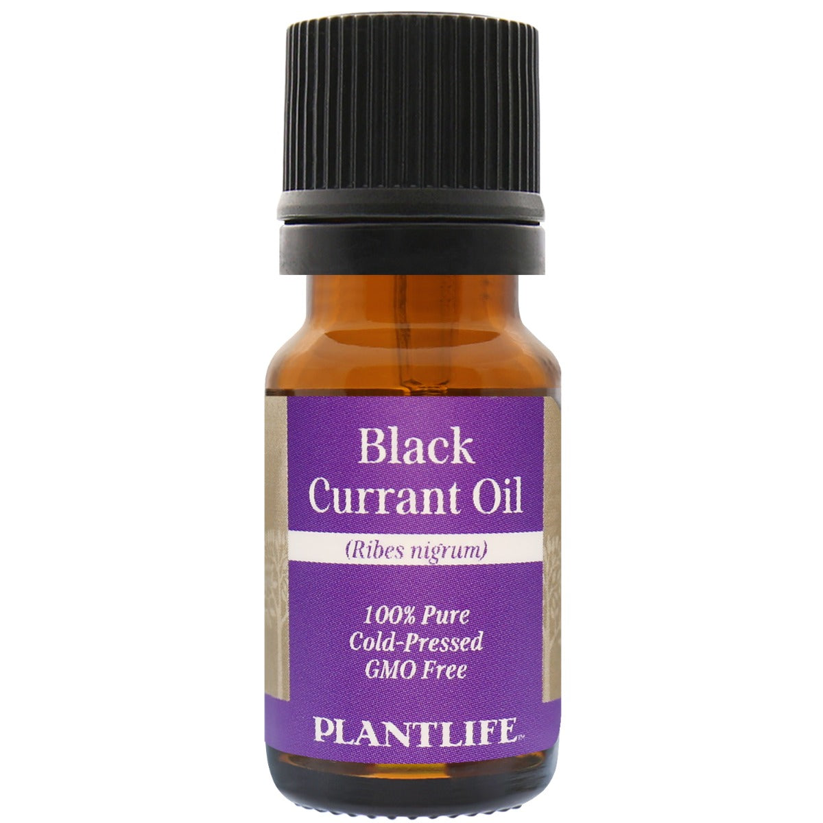 Black Currant Oil