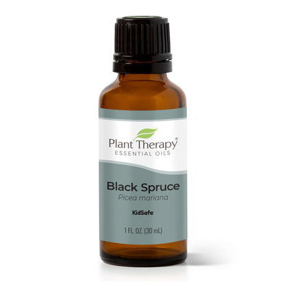 Black Spruce Essential Oil