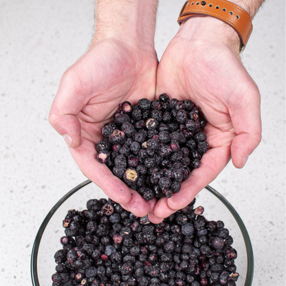 Blueberries Freeze Dried - #10 Can by Nutristore