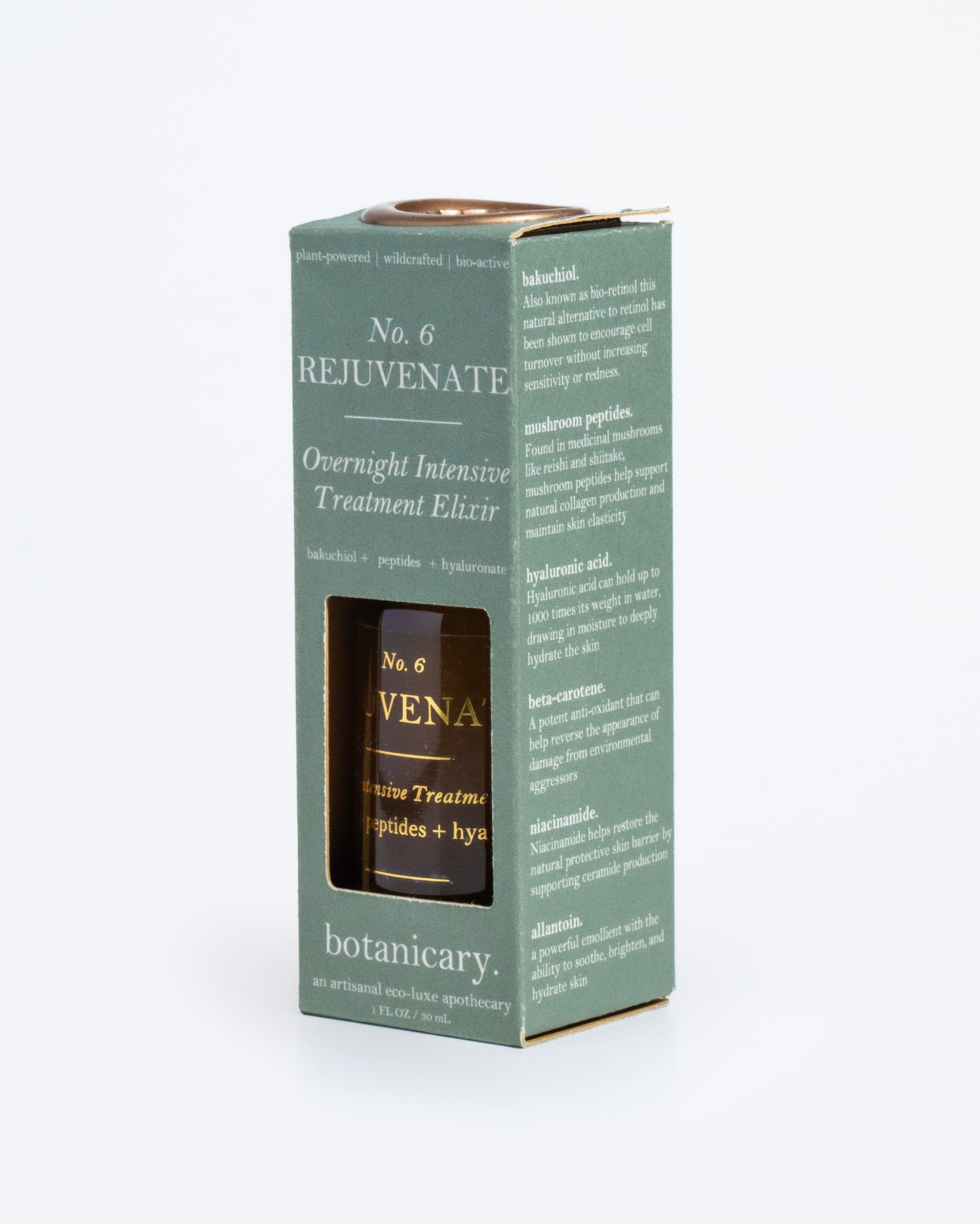 No. 6 REJUVENATE - Overnight Intensive Treatment Elixir