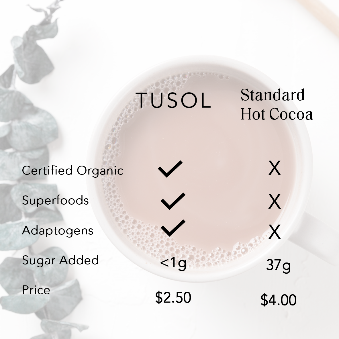 TUSOL Organic Latte Kit by TUSOL Wellness