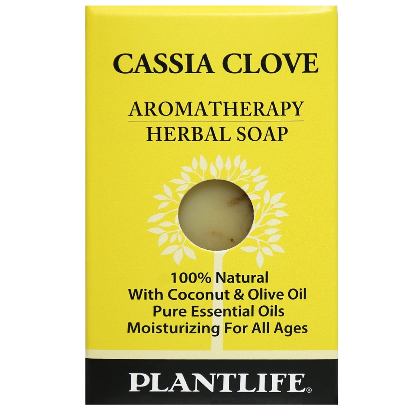 Cassia Clove Travel Size Bar Soap