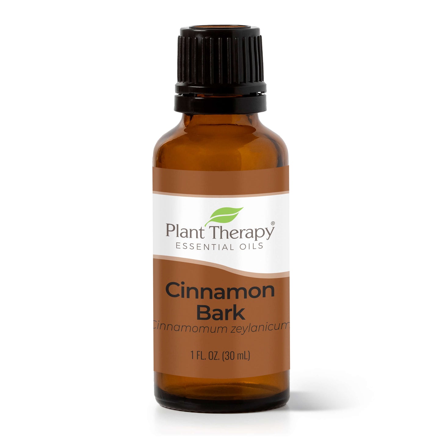 Cinnamon Bark Essential Oil